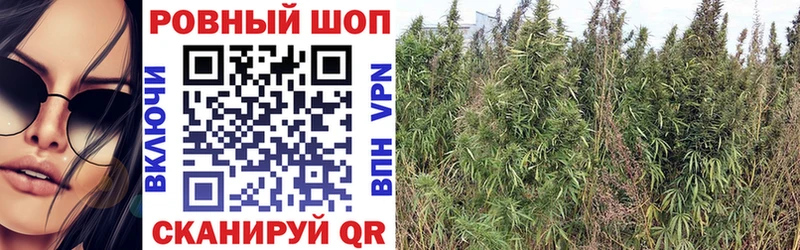 Купить закладку ГАШ  Cocaine  Мефедрон  Тосно
