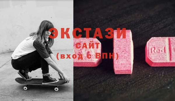 стафф Каменногорск