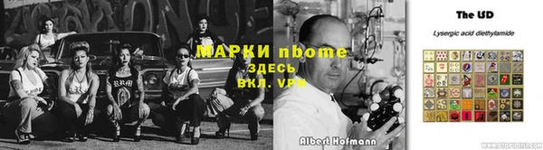 стафф Каменногорск