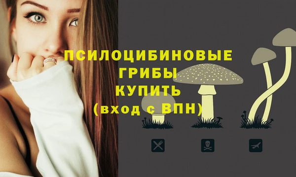 mix Каменск-Шахтинский