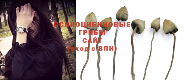 mix Каменск-Шахтинский