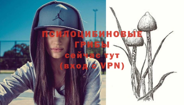 стафф Каменногорск