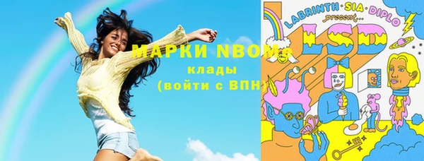 стафф Каменногорск